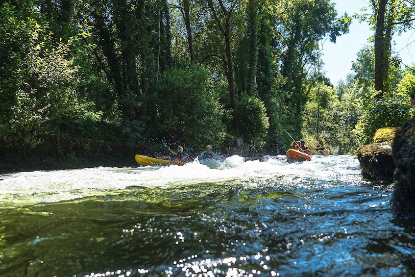 Kajakfahrer paddeln auf einem Fluss, umgeben von dichtem Wald. 2