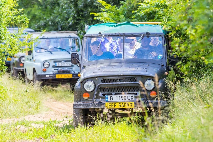 A convoy of off-road vehicles on a dirt path surrounded by greenery. 5