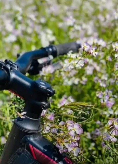 A close-up of a mechanical device with a red and black handle, set against a background of green foliage and small purple flowers. 5