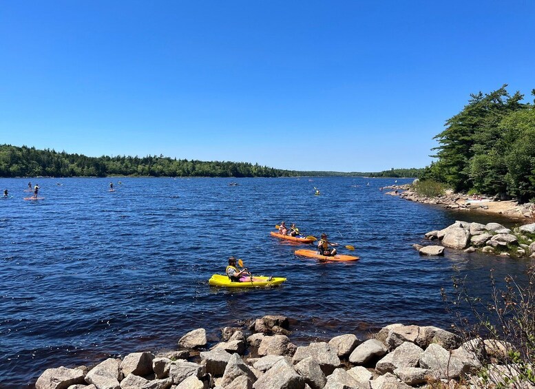 Kayakers on a calm lake with a rocky shoreline and dense forest in the background. 5