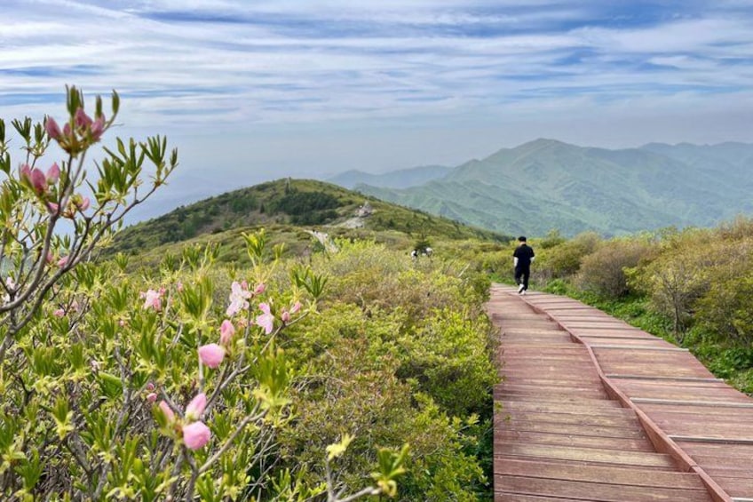 A wooden boardwalk, a person walking, and green hills in the background. 2