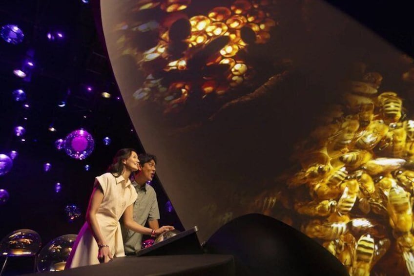 A stage with a large projection of bees and a woman speaking. 4