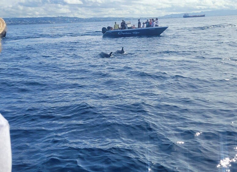 A boat with people on the water, a large ship in the distance, and two orcas swimming nearby. 1