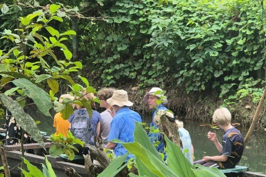 A group of people on a boat in a forested area with dense greenery and a river. 3