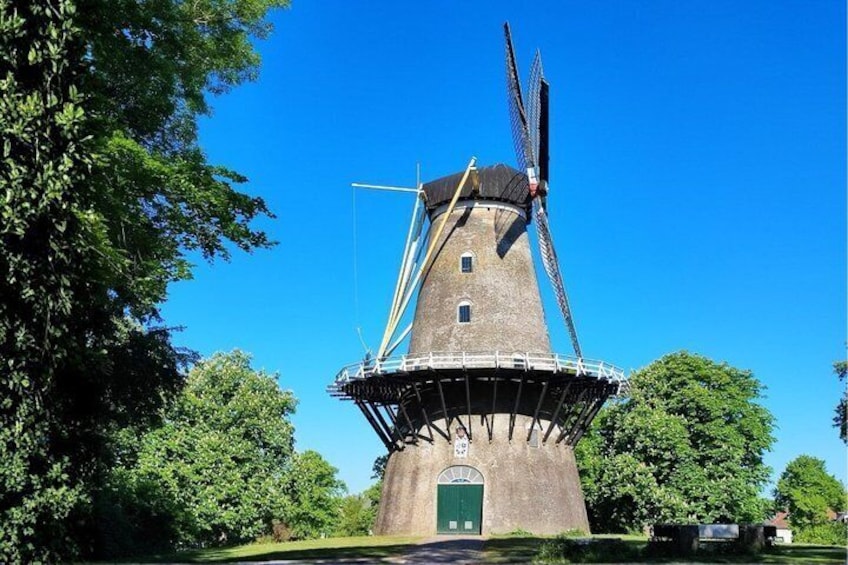 A traditional windmill with a green door, surrounded by lush green trees and a clear blue sky. 2