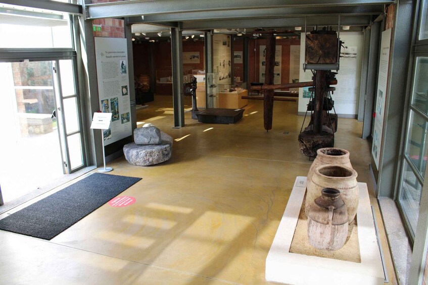 A museum entrance with stone benches, informational displays, and ancient artifacts. 2