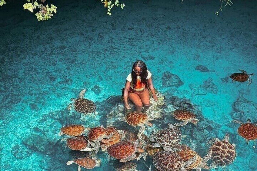 A person surrounded by sea turtles in clear blue water. 1