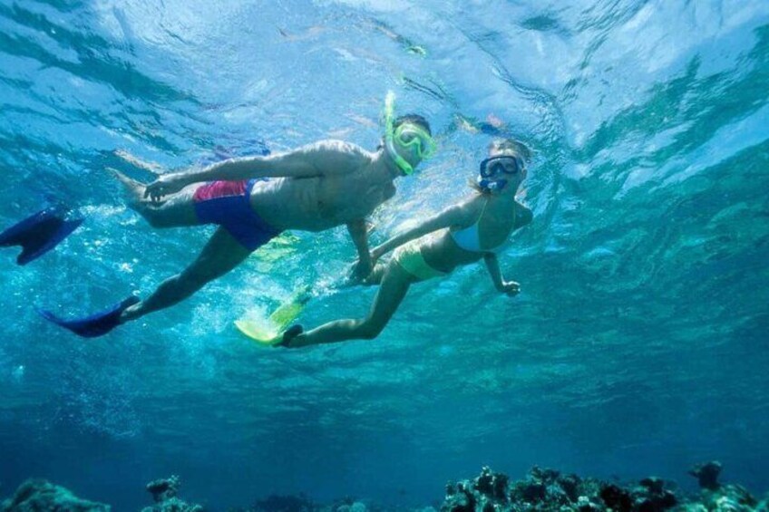 Two people snorkeling underwater with fins and masks. 5