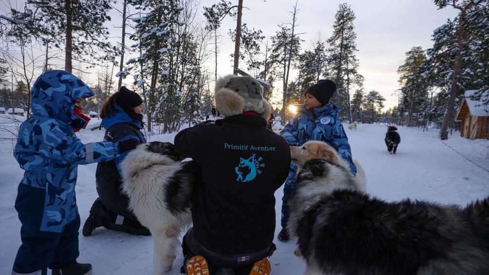 A group of people in winter clothing, interacting with huskies in a snowy forest. 1