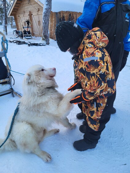 A large white dog sitting on snow, a person in a colorful jacket, and a wooden structure in the background. 3