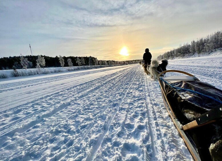 A snowy landscape with a sled being pulled by dogs, a person leading the dogs, and a sunset in the background. 1