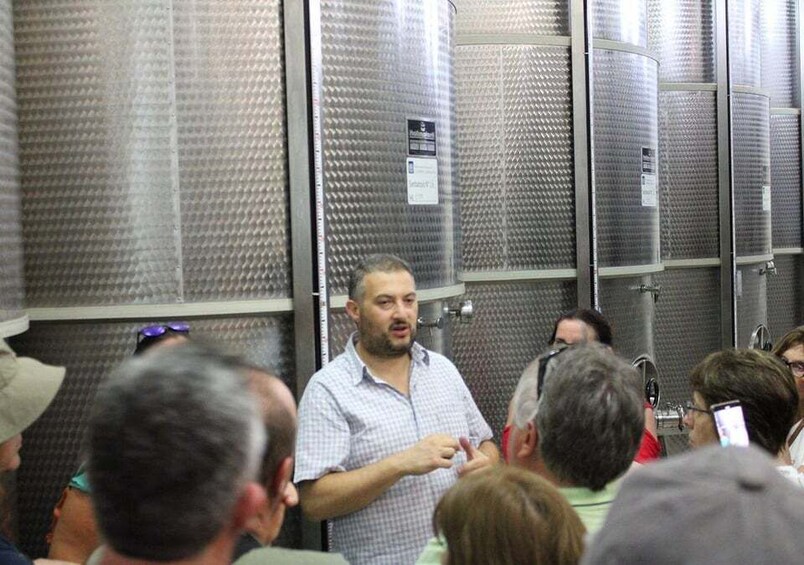 Picture 2 for Activity From Matera: Winery Tour & Wine Tasting with Transfer 4