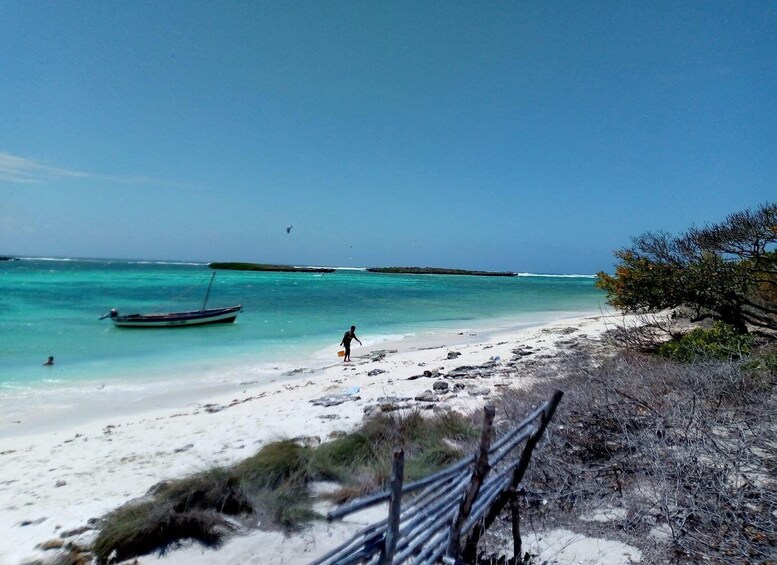 A beach with clear turquoise water, a boat, and a person walking on the shore. 2