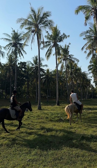 Two people riding horses in a grassy field with palm trees in the background. 3