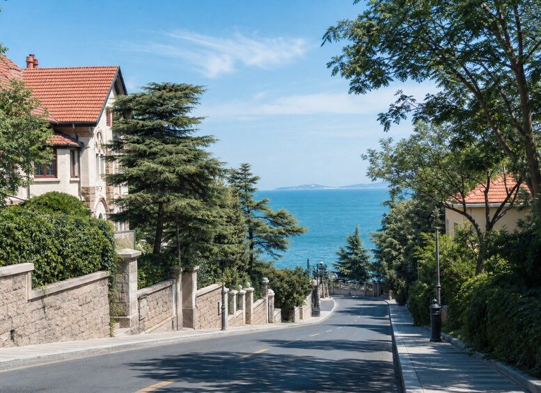 A coastal street lined with trees and houses, leading to the sea. 3