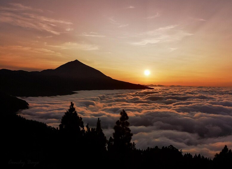 Sunset Tour at Chipeque: Teide with Cava & Snacks 1