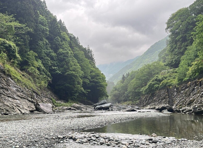 A river flowing through a forested valley with rocky terrain and a bridge in the distance. 2