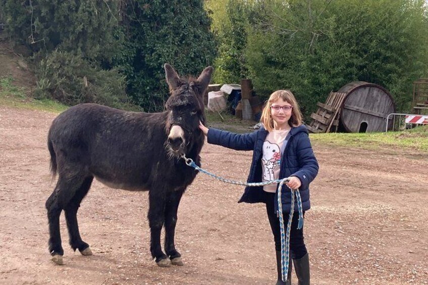 Una persona pasea con un burro con correa en un entorno rural, con árboles y una estructura de madera al fondo. 2