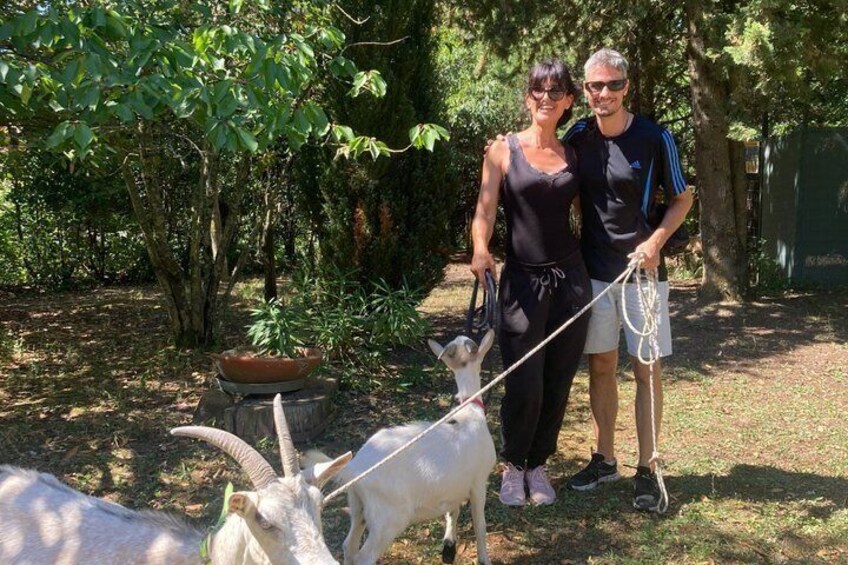 Dos personas paseando una cabra con correa en un área boscosa con árboles y un banco de madera. 4