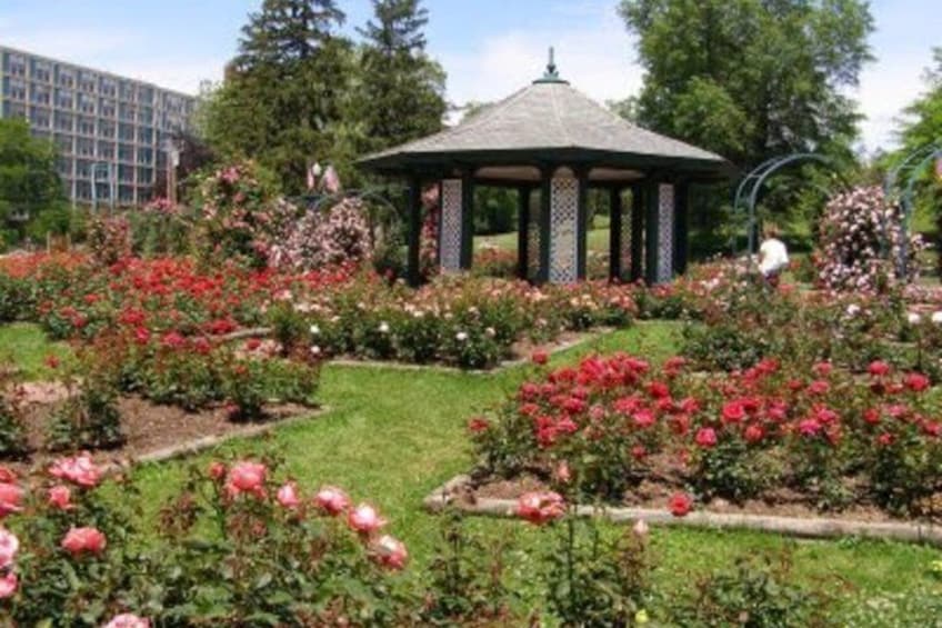 A garden with a gazebo, blooming roses, and a building in the background. 4