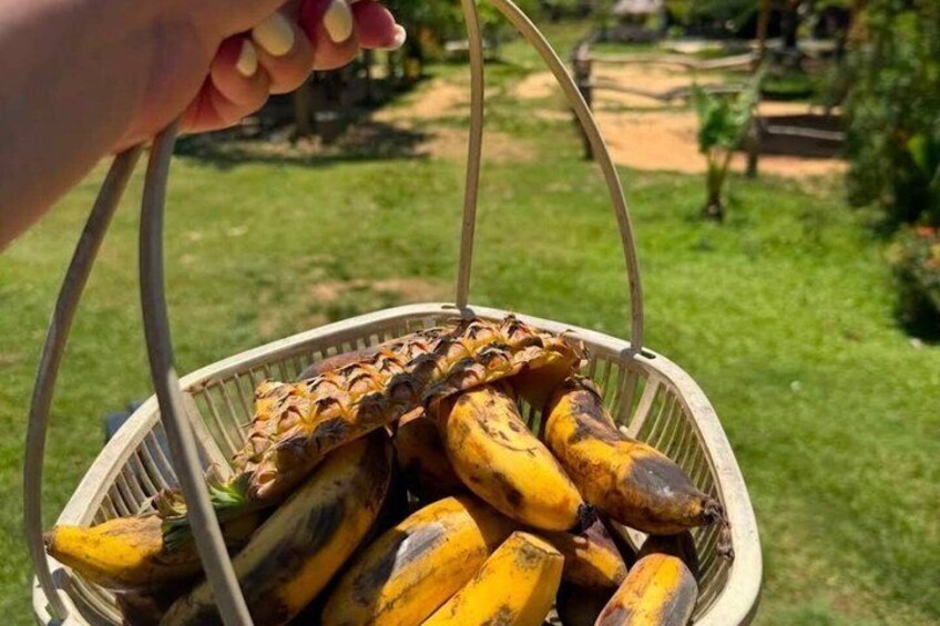 A basket filled with bananas and a hand holding it. 2