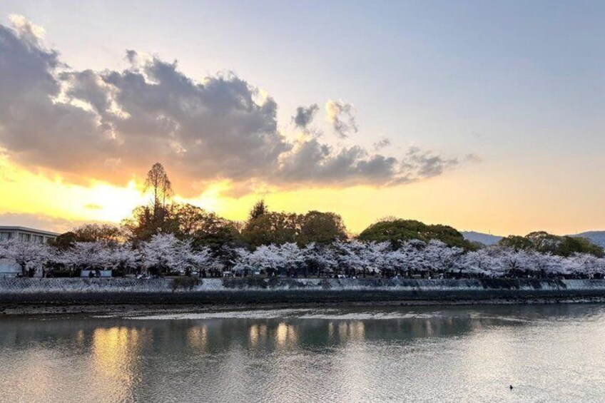 A river reflecting trees with blossoms, a sunset sky, and a distant building. 3