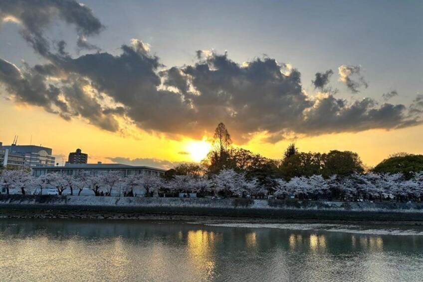 A sunset over a river with cherry blossoms and buildings in the background. 2