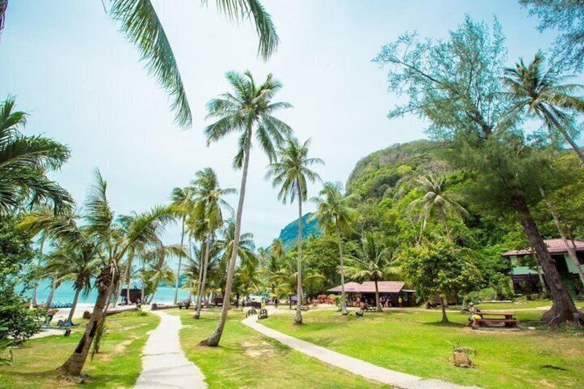 A tropical resort with palm trees, a pathway, and beach huts. 3