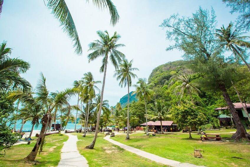 Un resort tropical con palmeras, un sendero y cabañas de playa. 3