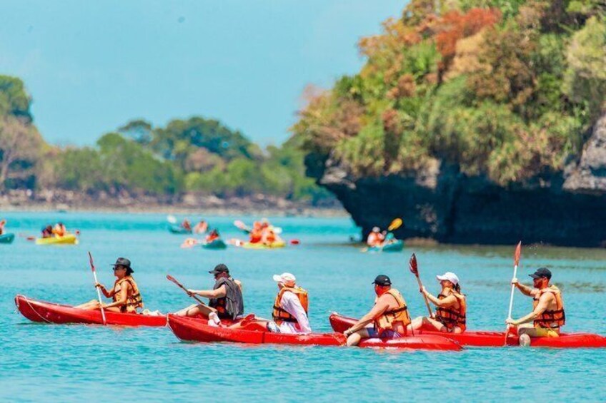 A group of people in red canoes paddling on a calm sea with a rocky coastline in the background. 1