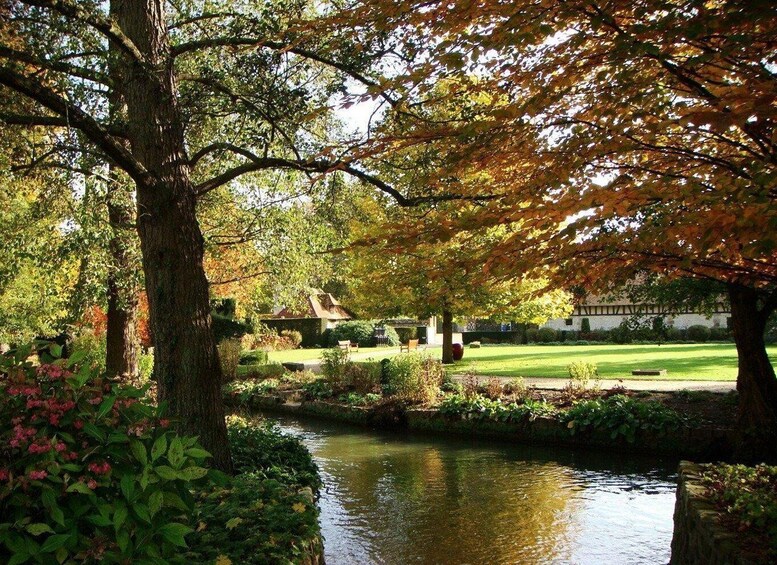 A serene garden with a pond, trees with autumn leaves, and a lawn. 3