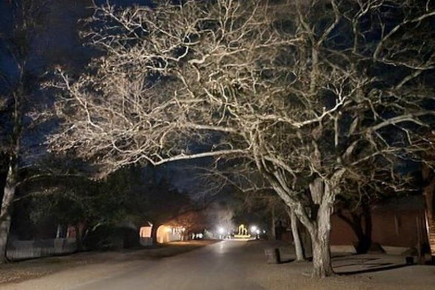 A nighttime street scene with bare trees, a road, and distant lights. 2