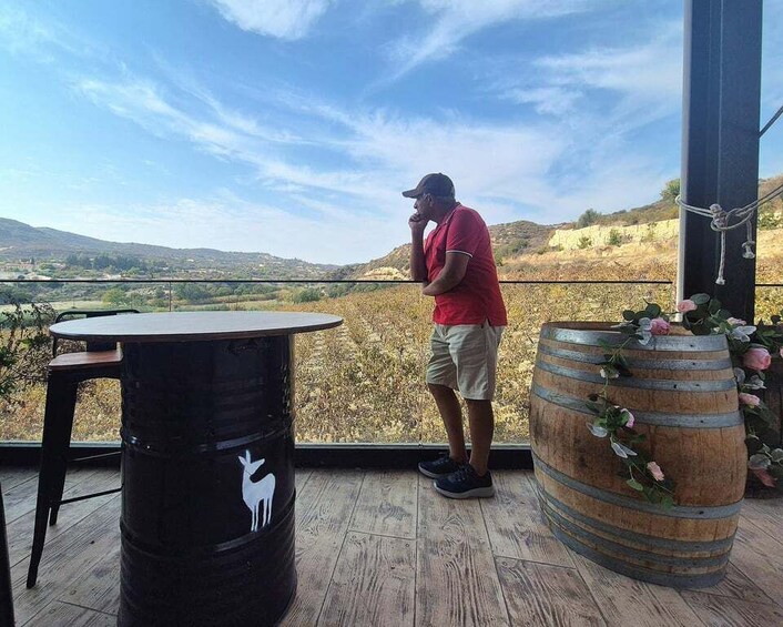 A man standing on a balcony overlooking a hilly landscape. 2