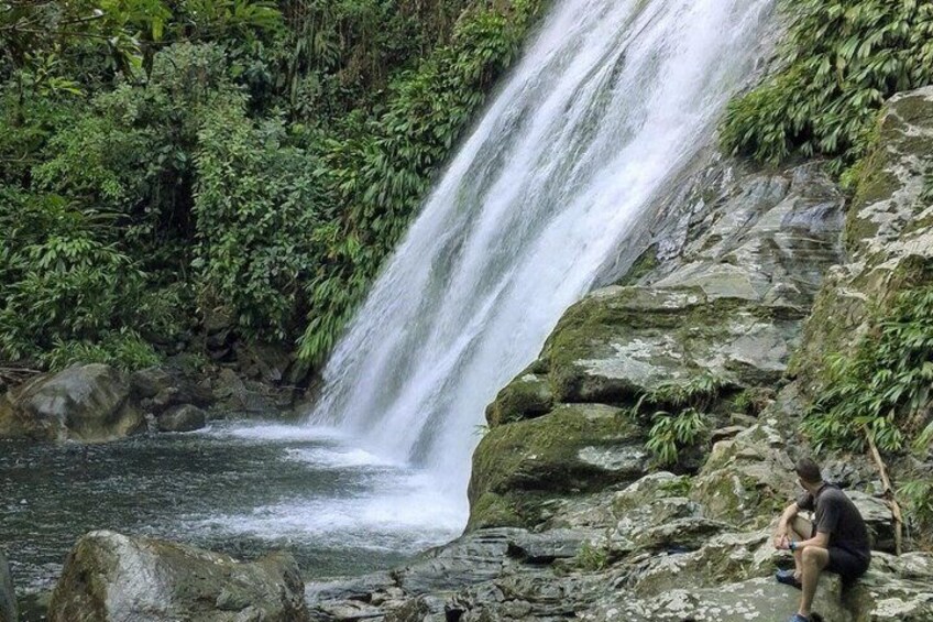 A waterfall cascading over rocks into a pool, surrounded by lush greenery. 4