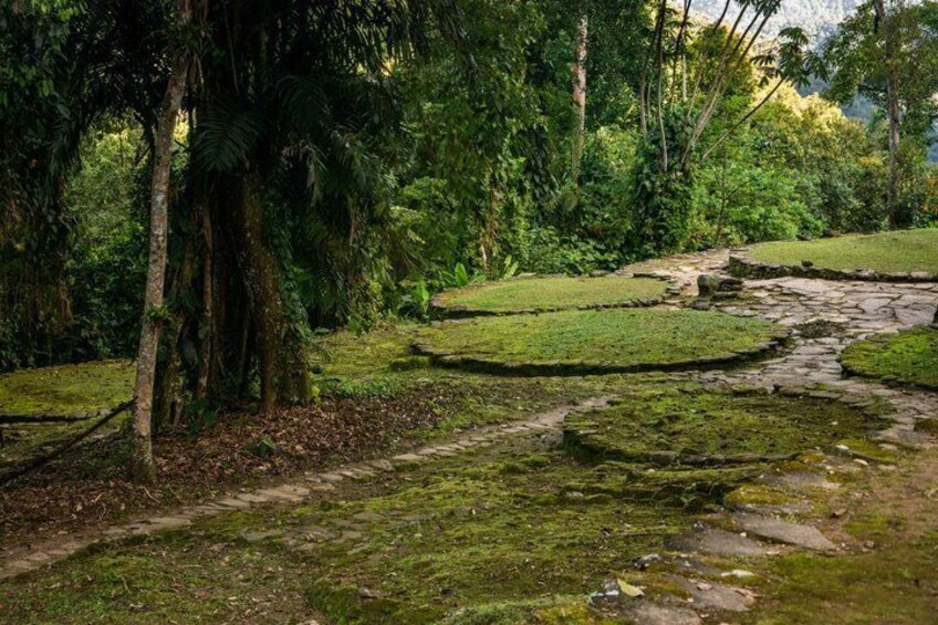 A forested area with a stone pathway and moss-covered ground. 4