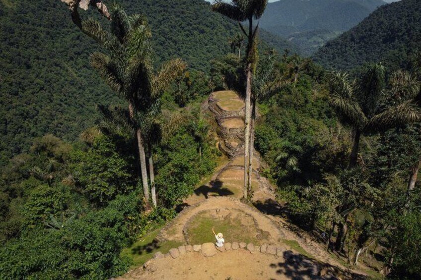 A jungle with a stone pathway leading to a circular stone structure. 1