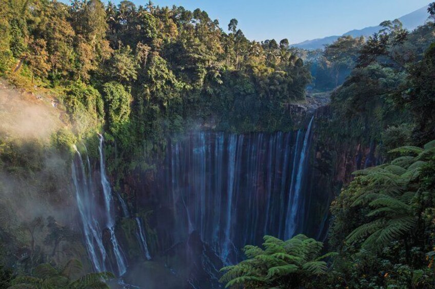 A waterfall cascading down a steep cliff surrounded by dense forest. 2