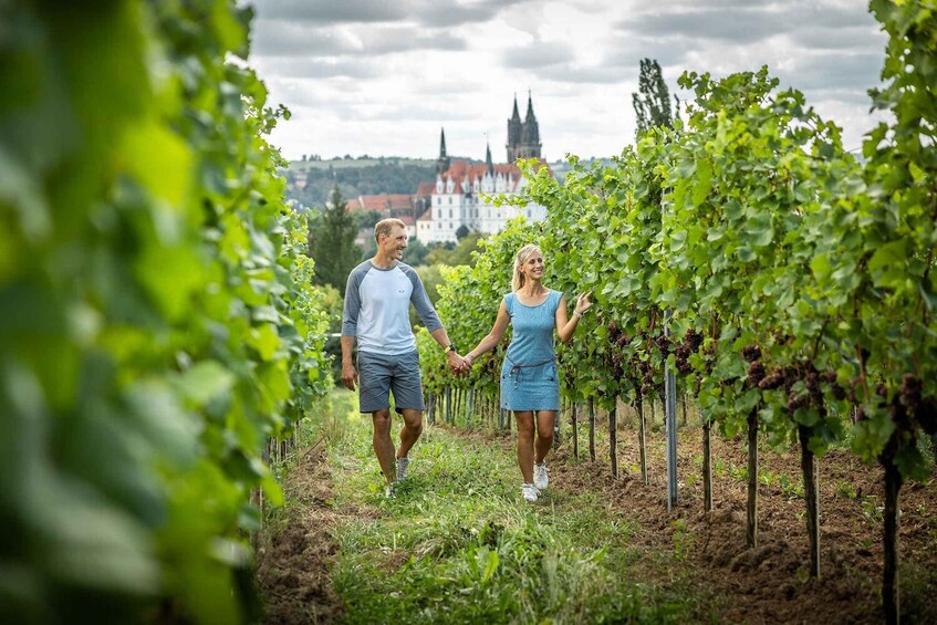 Two people walking through a vineyard with rows of grapevines. 2