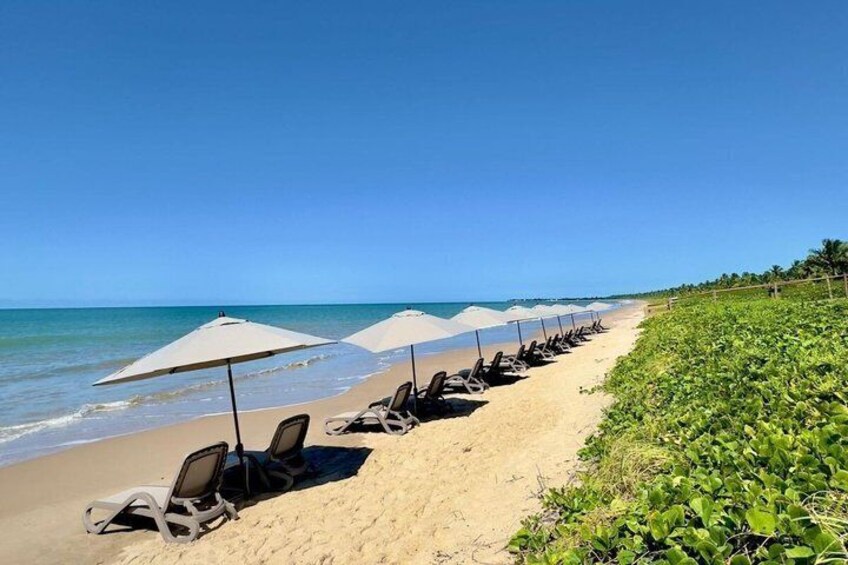 A beach with rows of sun loungers and umbrellas, a sandy shore, and the ocean in the background. 3