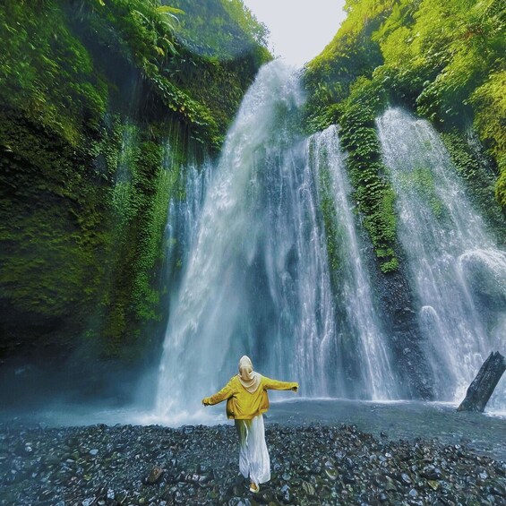 A waterfall surrounded by lush greenery. 4