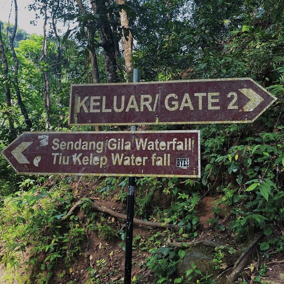 A directional signpost in a forested area with two arrows pointing to different locations: 'KELUAR/GATE 2' and 'Sendang Gila Waterfall/Tiu Kelep Waterfall'. 5