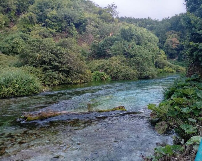 A river flowing through a forested area with dense vegetation on the banks. 5