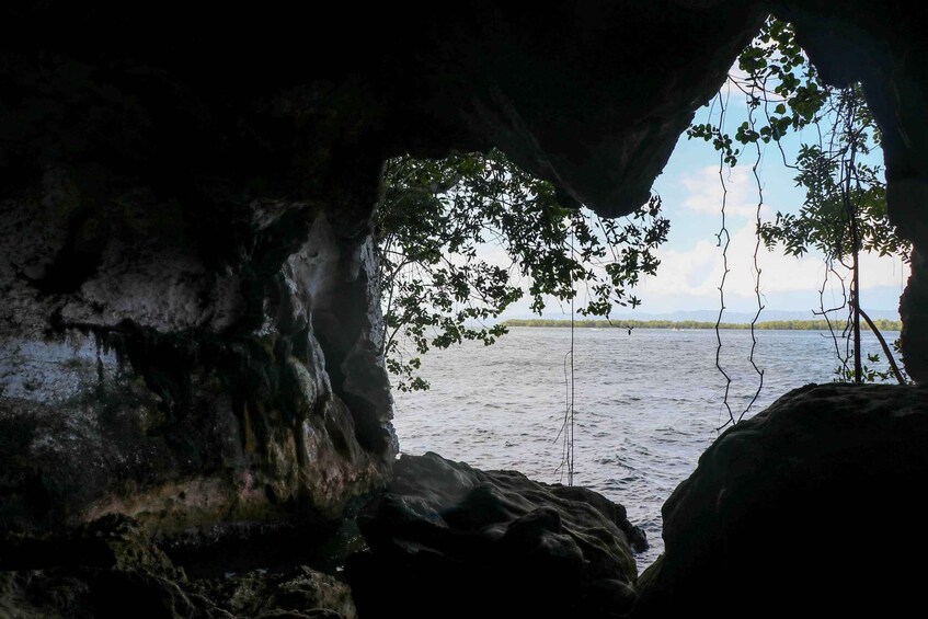 A cave opening with water and trees in the background. 2