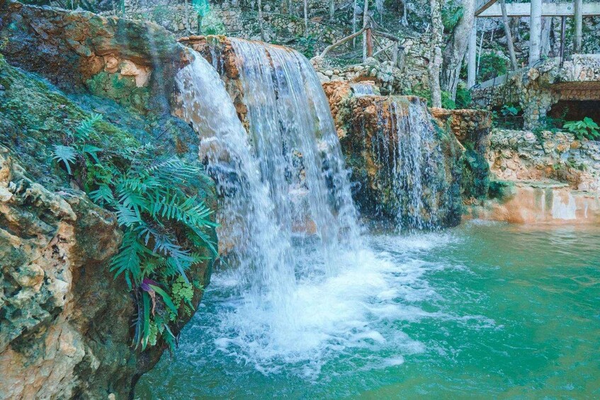 A waterfall cascading into a pool surrounded by rocky terrain and ferns. 5