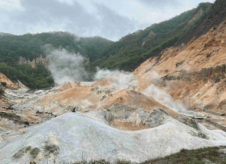 A geothermal area with steam vents, rocky terrain, and forested hills. 5