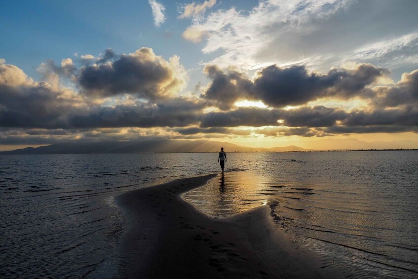 A person walking on a wet beach with a sunset in the background. 3
