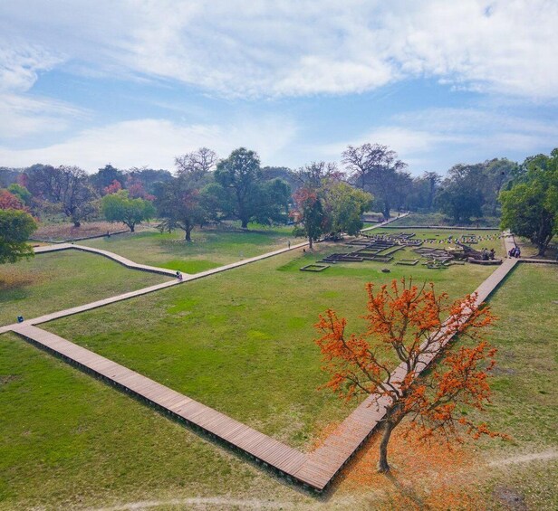 A park with a central pathway, surrounded by grass and trees with autumn foliage. 4