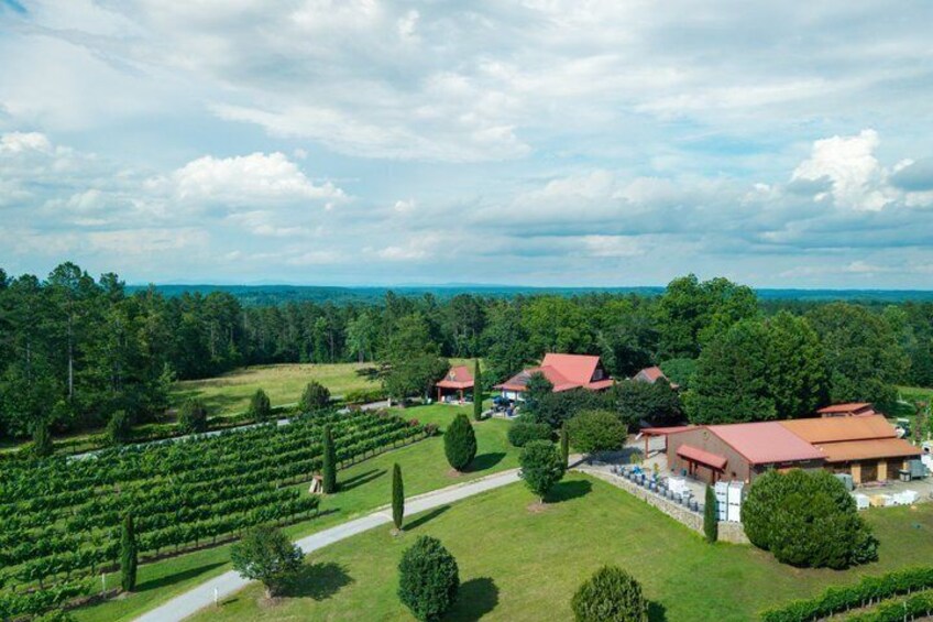 A vineyard with rows of grapevines, a few buildings with red roofs, and a clear sky. 3