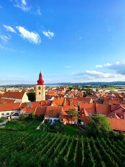A town with red-roofed buildings, a prominent tower with a red roof, and a clear blue sky. 5