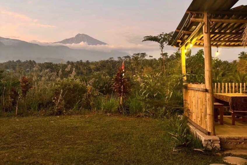 A wooden structure with a thatched roof, surrounded by lush greenery and a mountain in the background. 2